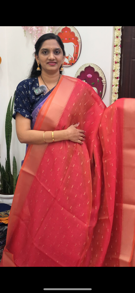 Adya Tissue Saree