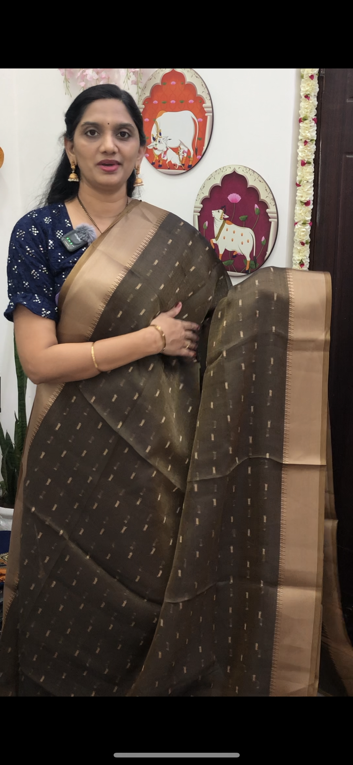 Adya Tissue Saree