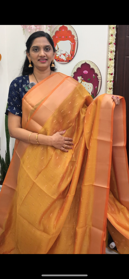 Adya Tissue Saree